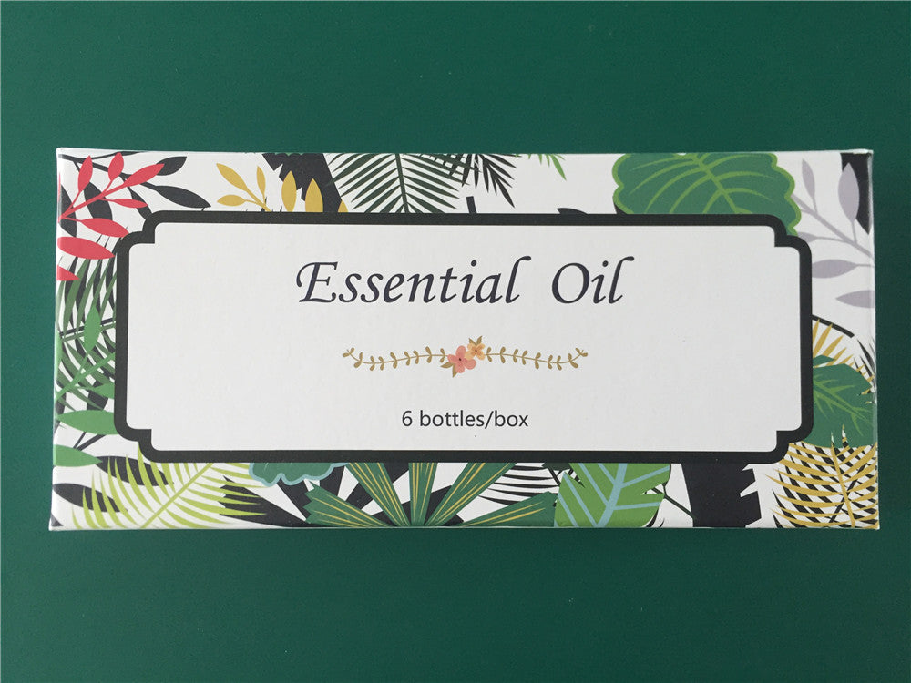 Therapeutic-Grade Aromatherapy Essential Oil Gift Set – ( 10ml) - 100% Pure of the Highest Quality Oils – Peppermint, Tea Tree, Lavender, Eucalyptus