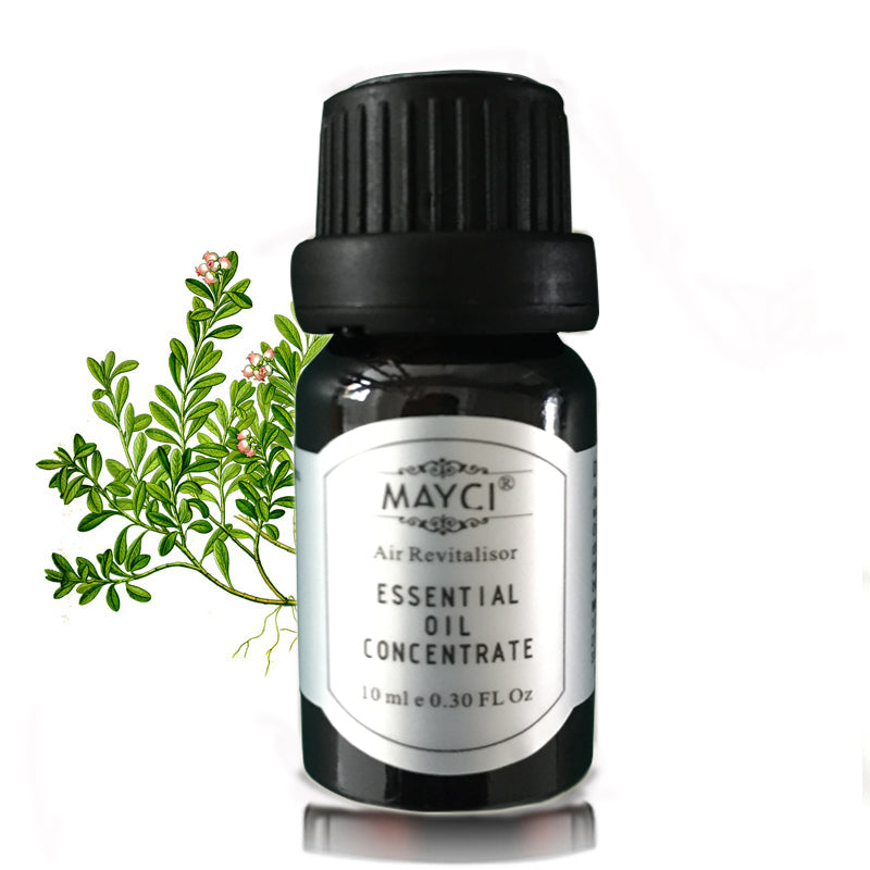 Therapeutic-Grade Aromatherapy Essential Oil Gift Set – ( 10ml) - 100% Pure of the Highest Quality Oils – Peppermint, Tea Tree, Lavender, Eucalyptus